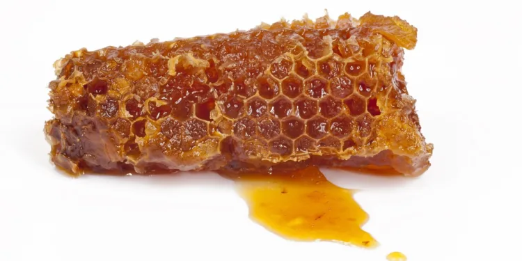 Propolis in Korean skincare