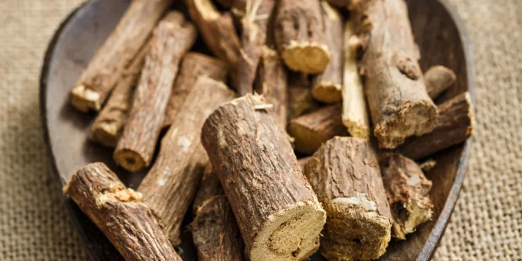 a spoon filled with licorice root extract for skin whitening