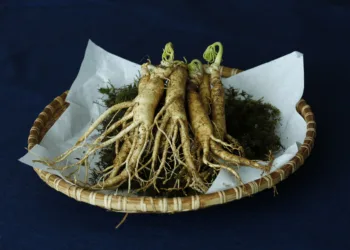 ginseng placed on oplate